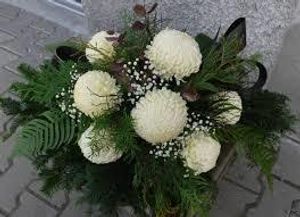 Image chosen by user