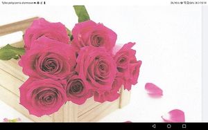 Image chosen by user