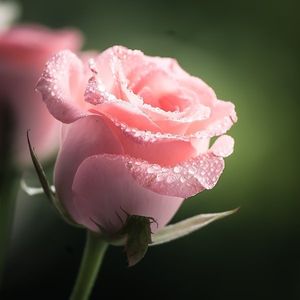 Image chosen by user