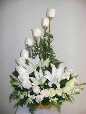 Image chosen by user