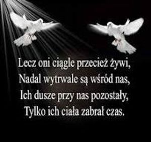 Obrazek wybrany przez użytkownika