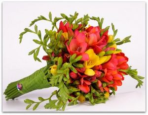 Image chosen by user