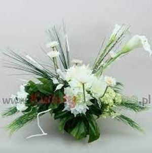 Image chosen by user