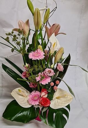 Image chosen by user