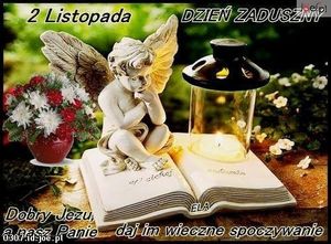 Obrazek wybrany przez użytkownika