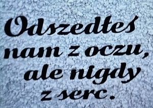 Obrazek wybrany przez użytkownika