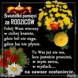 Obrazek wybrany przez użytkownika