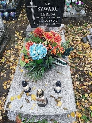 Obrazek wybrany przez użytkownika