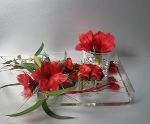 Image chosen by user