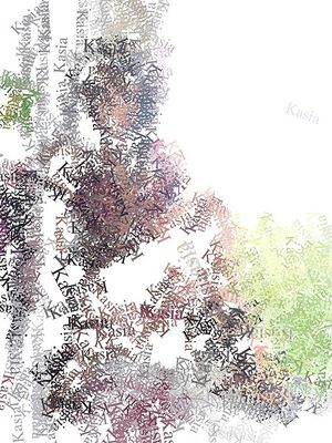 Image chosen by user