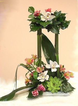 Image chosen by user