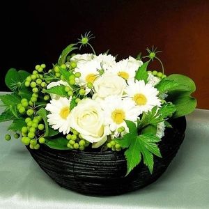 Image chosen by user