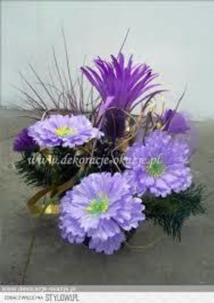 Image chosen by user
