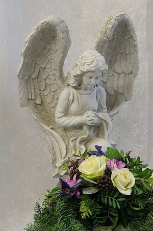 Image chosen by user