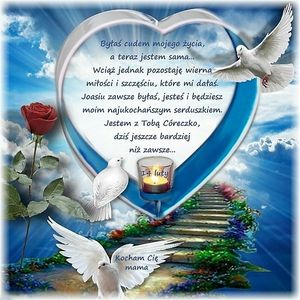 Image chosen by user