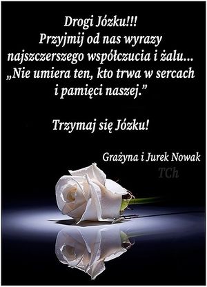 Obrazek wybrany przez użytkownika