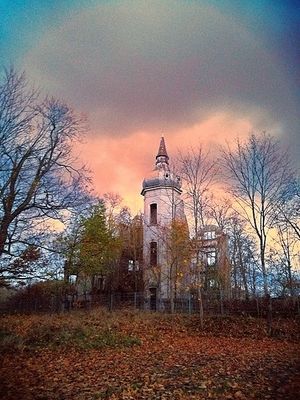 Obrazek wybrany przez użytkownika