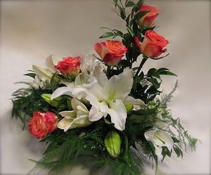 Image chosen by user