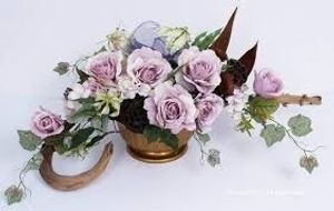 Image chosen by user