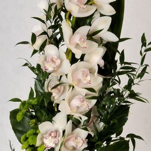 Image chosen by user