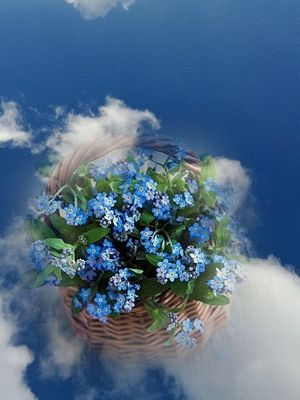 Image chosen by user