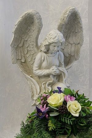 Image chosen by user
