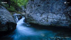Image chosen by user