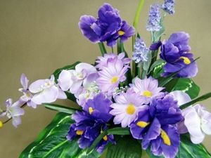 Image chosen by user