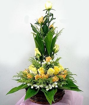 Image chosen by user