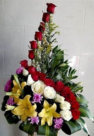 Image chosen by user