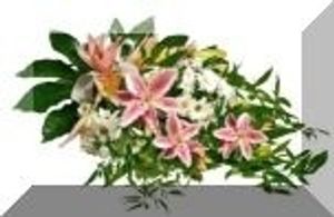 Image chosen by user
