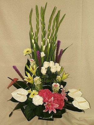 Image chosen by user