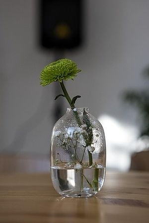 Image chosen by user