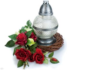 Image chosen by user