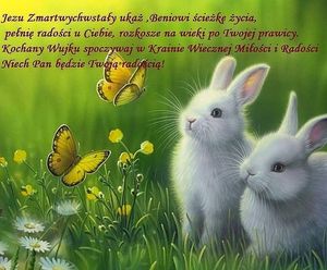 Obrazek wybrany przez użytkownika