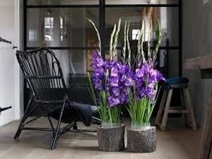 Image chosen by user