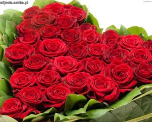 Image chosen by user