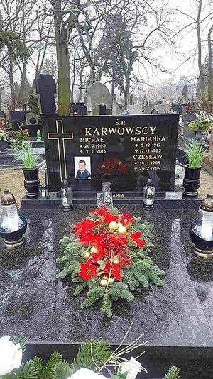 Obrazek wybrany przez użytkownika