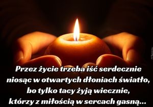 Obrazek wybrany przez użytkownika