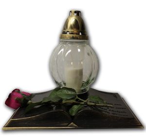 Image chosen by user