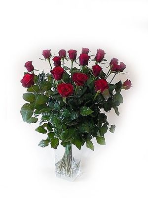 Image chosen by user