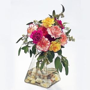 Image chosen by user