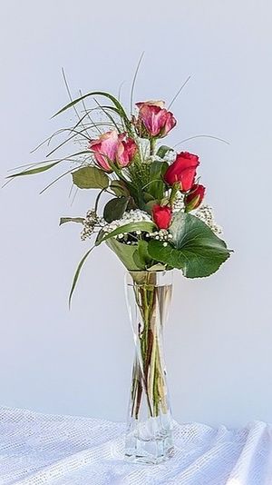 Image chosen by user
