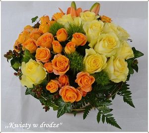 Image chosen by user