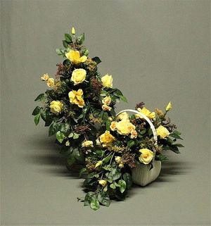 Image chosen by user