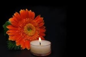 Image chosen by user