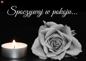 Obrazek wybrany przez użytkownika