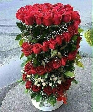 Image chosen by user