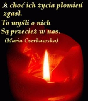 Obrazek wybrany przez użytkownika