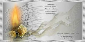 Image chosen by user